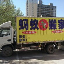 專業(yè)、高效、省心——邯鄲市邯山區(qū)螞蟻搬家渚河路服務(wù)部，您的理想搬家伙伴